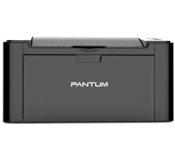Замена ролика захвата на принтере Pantum P2500NW в Нижнем Новгороде
